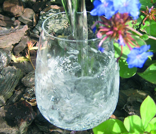 De l'eau purifiée et dynamisée dans un verre d'eau